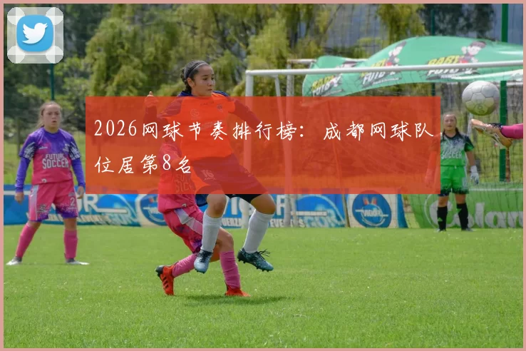 2026网球节奏排行榜：成都网球队位居第8名