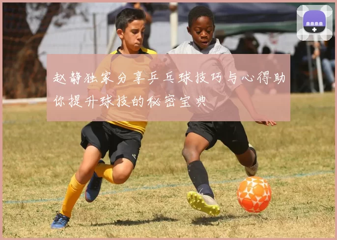 赵静独家分享乒乓球技巧与心得助你提升球技的秘密宝典