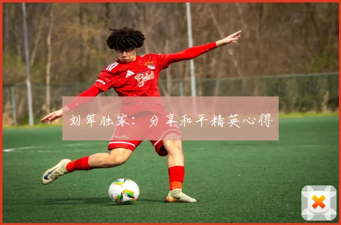 刘军独家：分享和平精英心得