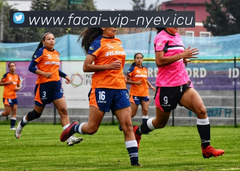 乐鱼体育平台生态图